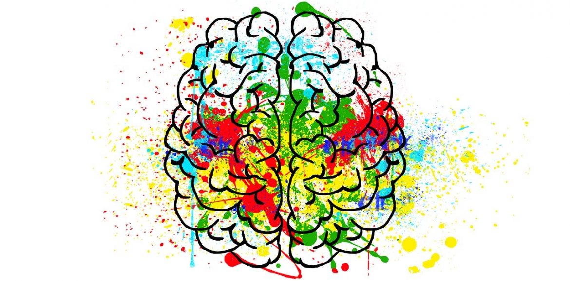 cerveau en couleurs